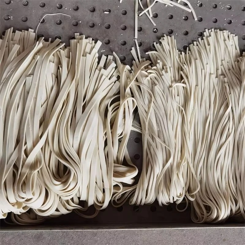 Intelligent Noodle Making Mach - Pasta Machine Electric ulasan dan harga
